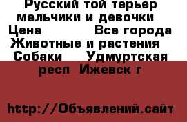 Русский той-терьер мальчики и девочки › Цена ­ 8 000 - Все города Животные и растения » Собаки   . Удмуртская респ.,Ижевск г.